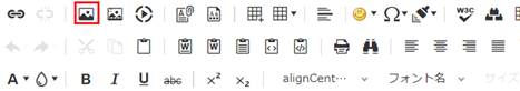 infoCMS10、画像挿入を選択した画像