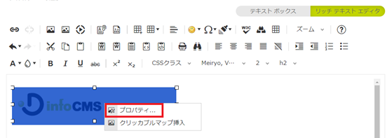 infoCMS10、プロパティを選択した時の画像