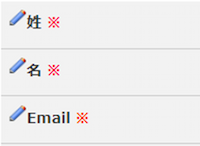 infoCMS9、※が設問についた画像